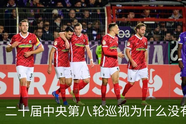 二十届中央第八轮巡视为什么没有公布巡视组名单和联系方式？