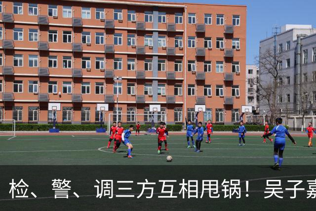检、警、调三方互相甩锅！吴子嘉上演反击教科书，郑丽文可以效仿