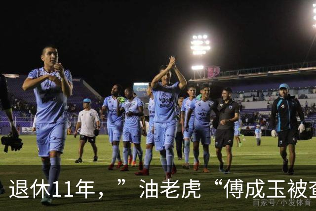 退休11年，”油老虎“傅成玉被查